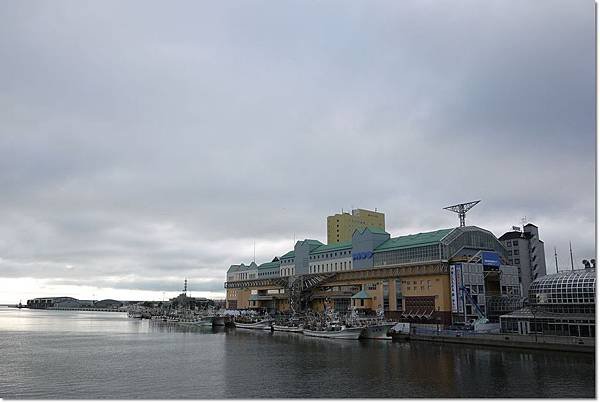 P1010003.jpg