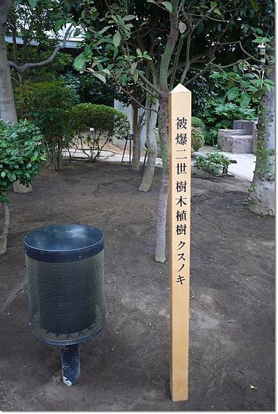 P1010012.jpg