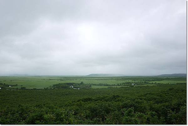 P1010136.jpg
