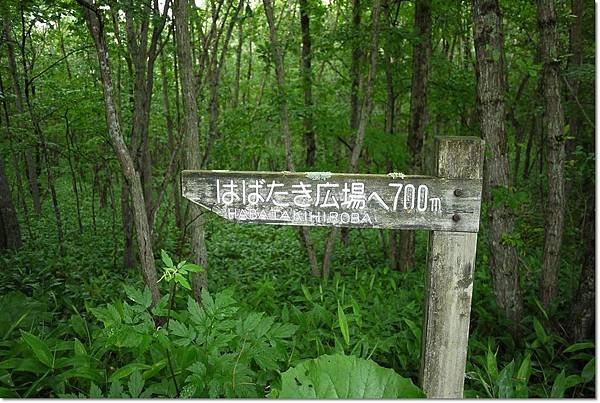 P1010086.jpg