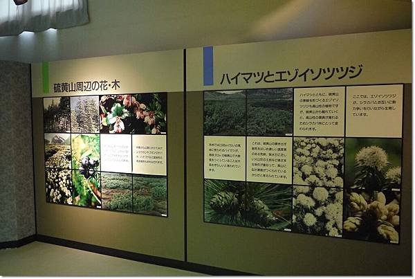 P1010204.jpg