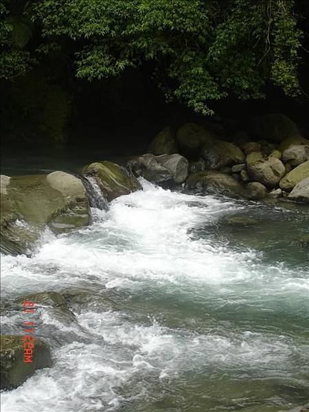 DSC08195