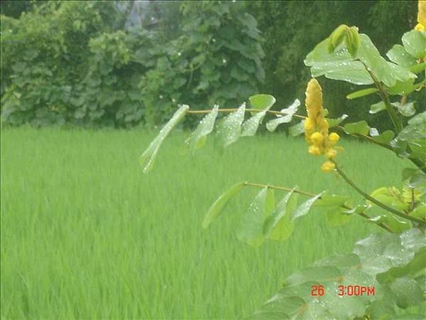 生活點滴 146