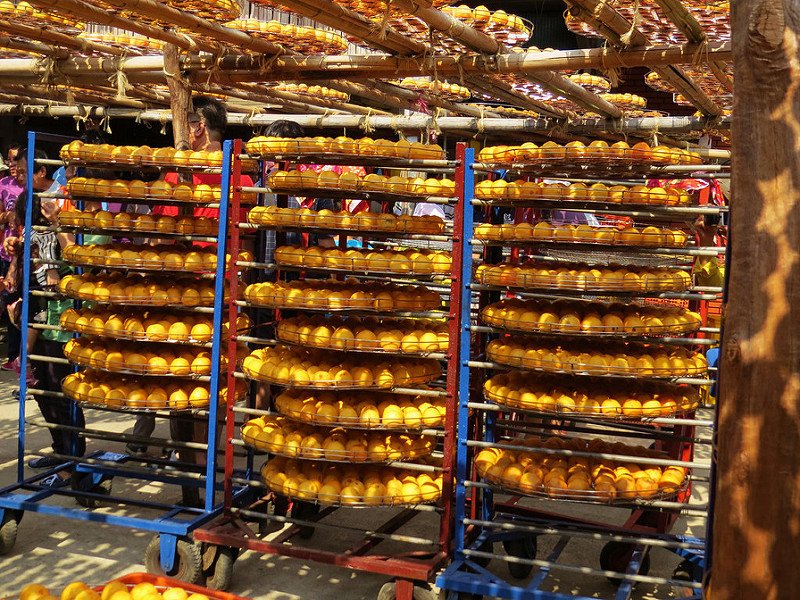 IMG_0084
