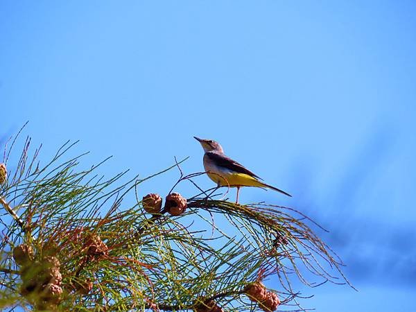 IMG_9784.JPG