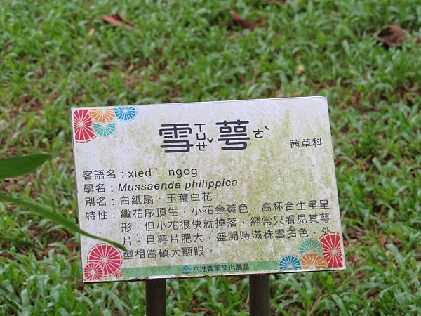 IMG_5603.JPG