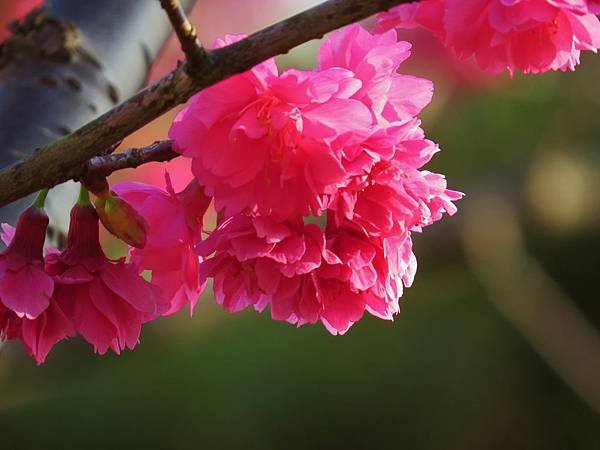 IMG_5591.JPG