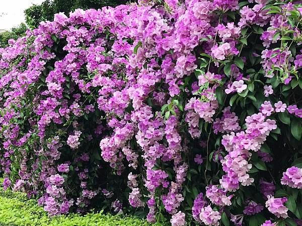 S__2687552_0.jpg