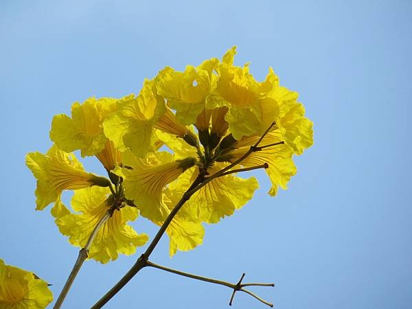 IMG_5601.JPG