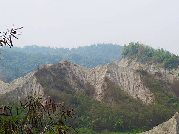 IMG_2622.JPG