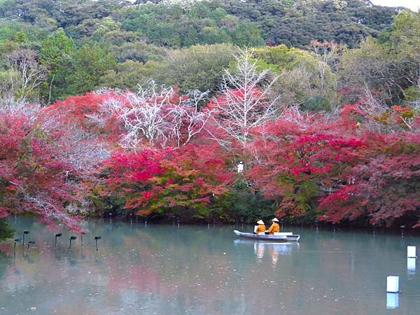 日本佐賀御船山樂園 20231118
