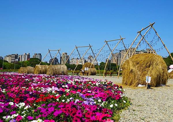 台北古亭河濱公園20240214