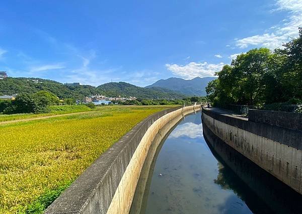 台北北投稻草恐龍地景藝術展 20240714