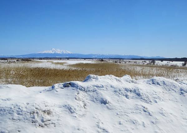 日本北海道路邊風景隨拍 20250308