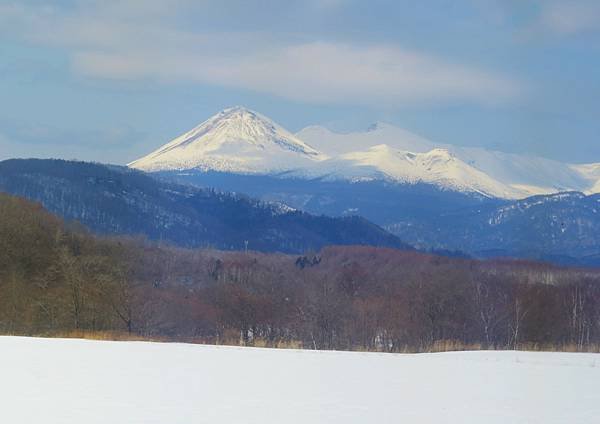 日本北海道路邊風景隨拍 20250308