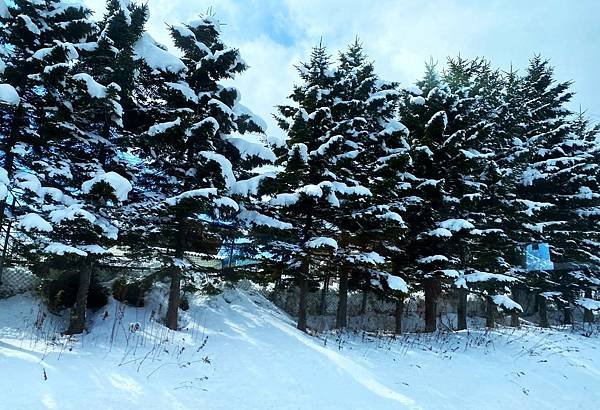 日本北海道路邊風景隨拍 20250308