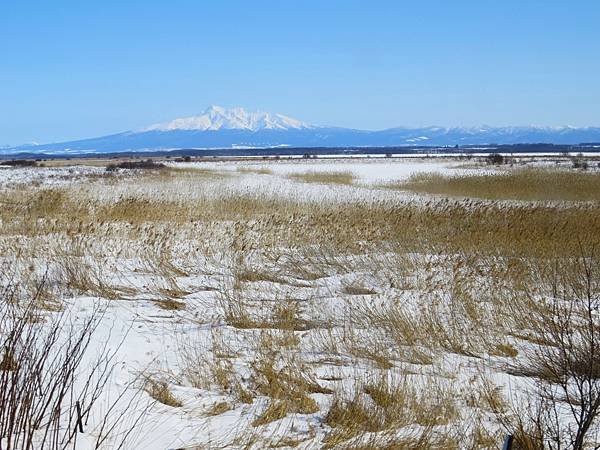 日本北海道路邊風景隨拍 20250308