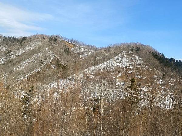 日本北海道路邊風景隨拍 20250308