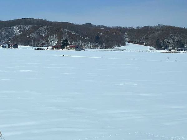 日本北海道路邊風景隨拍 20250308