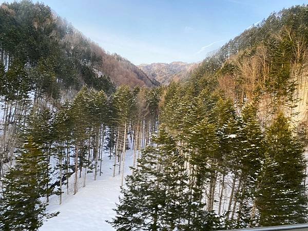 日本北海道路邊風景隨拍 20250308