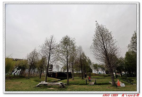 IMG_0007.jpg