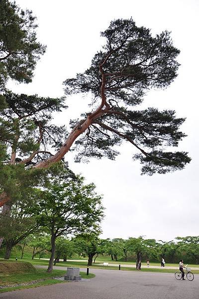 DSC_8750.jpg