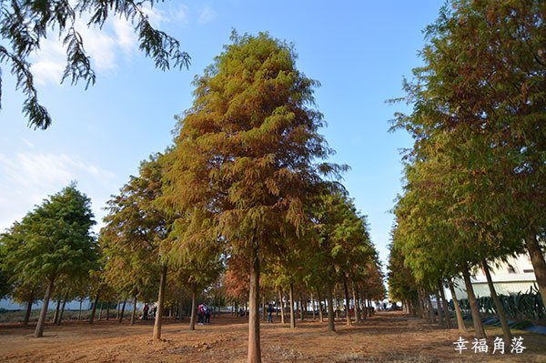 DSC_4755.jpg