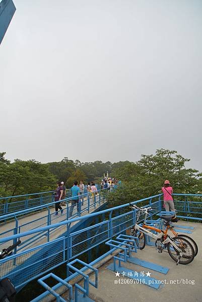 DSC_8496.jpg