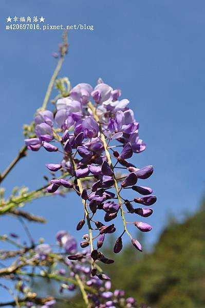DSC_0758.jpg
