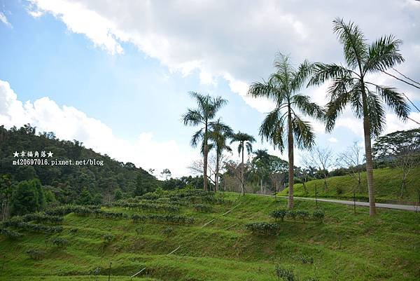 DSC_9809.jpg