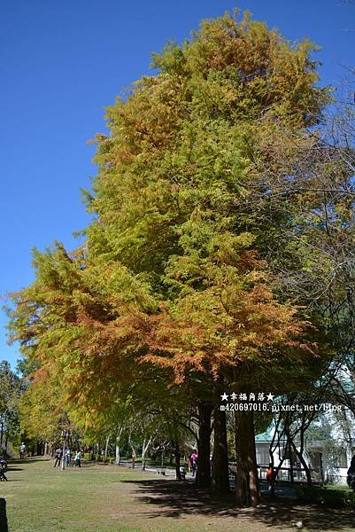DSC_1201.jpg