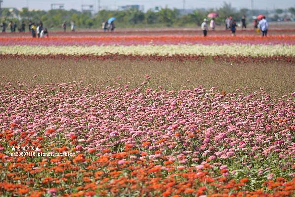 DSC_7911.jpg