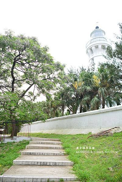 《桃園觀音》白沙岬燈塔巧遇苦楝花&amp;台版撒哈拉沙漠在草漯沙丘
