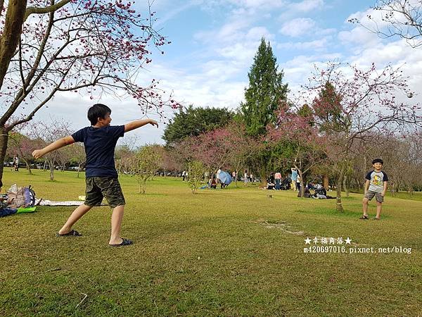 《南投魚池》廖鄉長紅茶故事館、紙教堂、暨南大學賞櫻。魚池一日