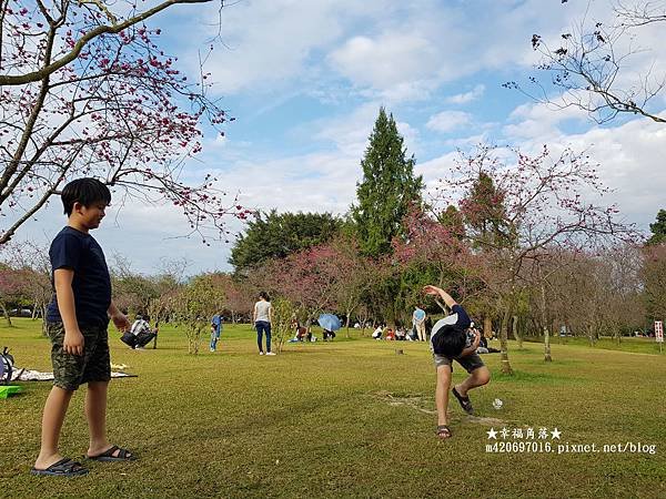 《南投魚池》廖鄉長紅茶故事館、紙教堂、暨南大學賞櫻。魚池一日