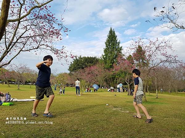 《南投魚池》廖鄉長紅茶故事館、紙教堂、暨南大學賞櫻。魚池一日