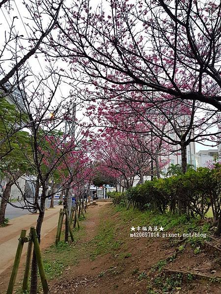 〔日本沖繩自由行〕通堂拉麵小祿本店//BAMBOHE燒肉餐廳