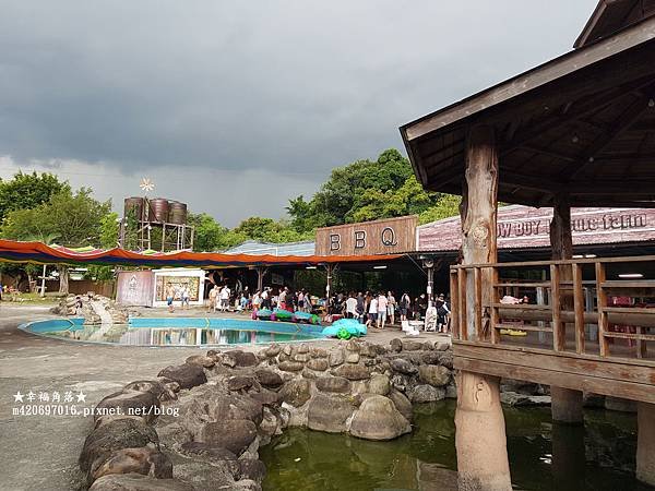 《新竹橫山》夏日戲水烤肉好去處。小牛仔休閒農場