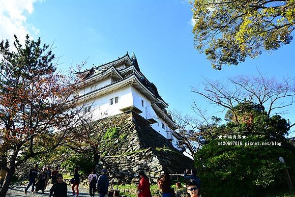 〔秋遊日本關西-京阪神奈良〕和歌山城