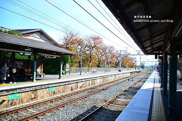 〔秋遊日本關西-京阪神奈良〕甜橘園採果樂//電鐵松尾大社→嵐