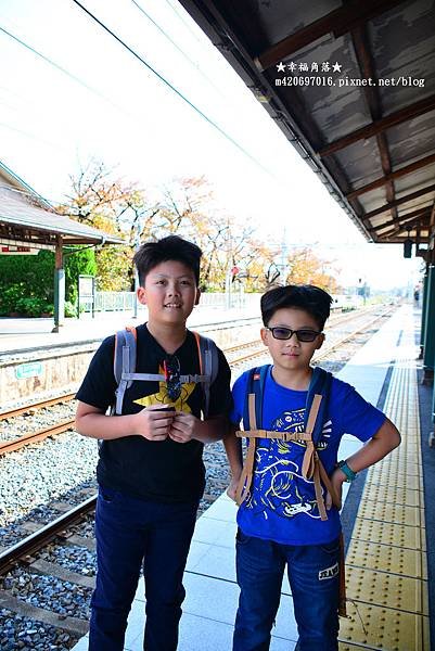 〔秋遊日本關西-京阪神奈良〕甜橘園採果樂//電鐵松尾大社→嵐