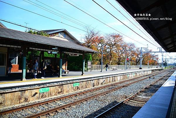 〔秋遊日本關西-京阪神奈良〕甜橘園採果樂//電鐵松尾大社→嵐