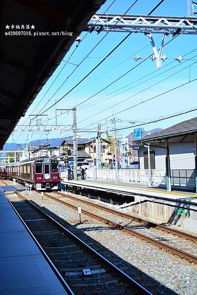 〔秋遊日本關西-京阪神奈良〕甜橘園採果樂//電鐵松尾大社→嵐