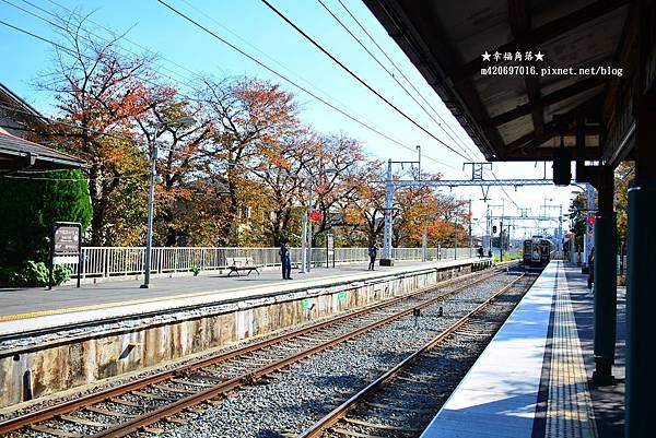 〔秋遊日本關西-京阪神奈良〕甜橘園採果樂//電鐵松尾大社→嵐