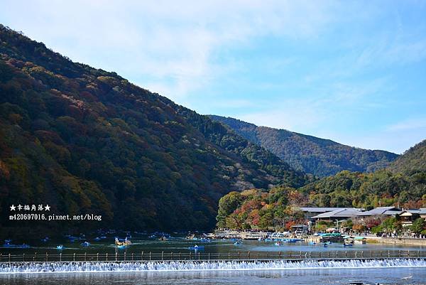 〔秋遊日本關西-京阪神奈良〕甜橘園採果樂//電鐵松尾大社→嵐