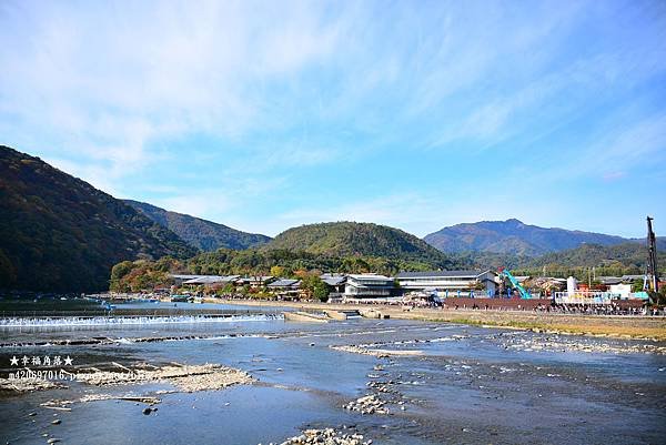 〔秋遊日本關西-京阪神奈良〕甜橘園採果樂//電鐵松尾大社→嵐