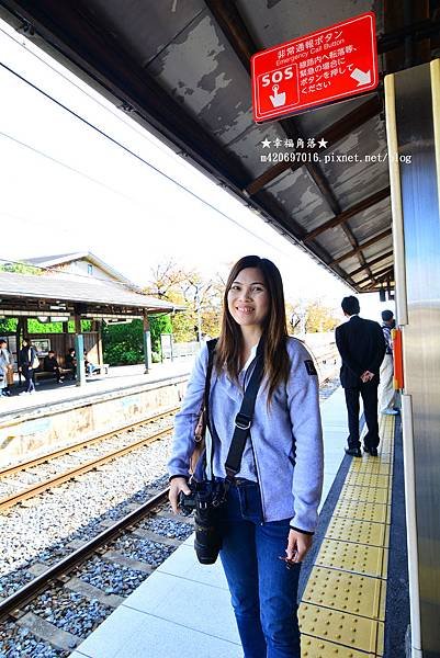 〔秋遊日本關西-京阪神奈良〕甜橘園採果樂//電鐵松尾大社→嵐