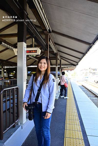 〔秋遊日本關西-京阪神奈良〕甜橘園採果樂//電鐵松尾大社→嵐