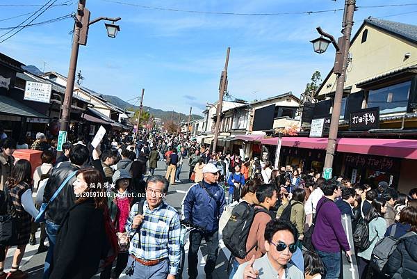 〔秋遊日本關西-京阪神奈良〕甜橘園採果樂//電鐵松尾大社→嵐