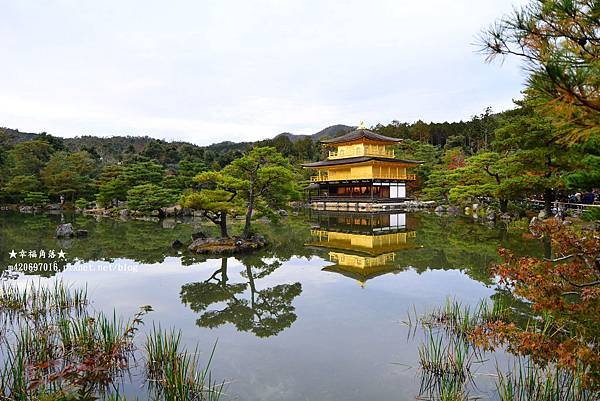 〔秋遊日本關西-京阪神奈良〕世界文化遺產-金閣寺